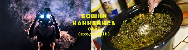 мет Няндома