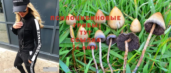 MESCALINE Нягань