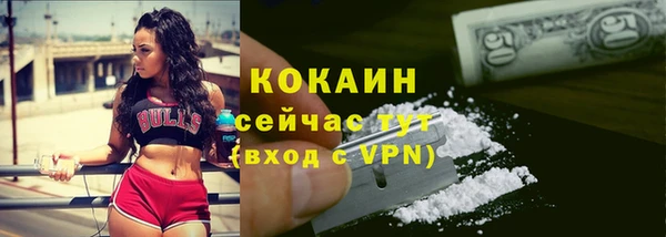 мет Няндома