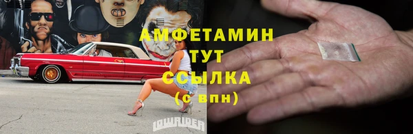 мет Няндома