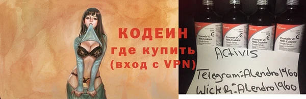 мет Няндома