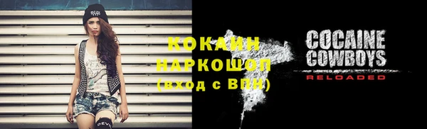 мет Няндома