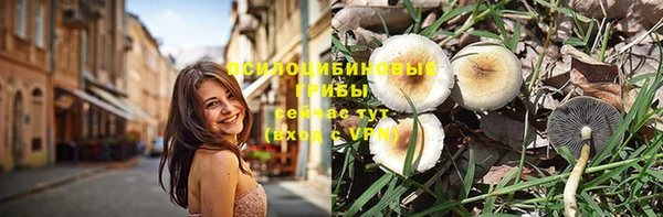 мет Няндома