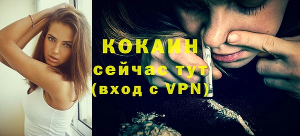 мет Няндома