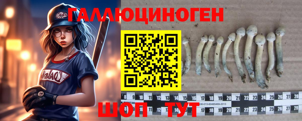 Галлюциногенные грибы GOLDEN TEACHER  Вход с VPN  Заволжье 