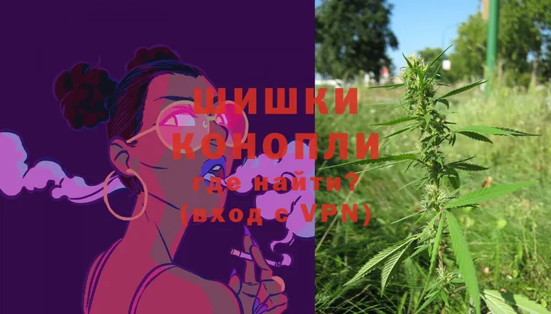 Конопля SATIVA & INDICA  Заволжье 